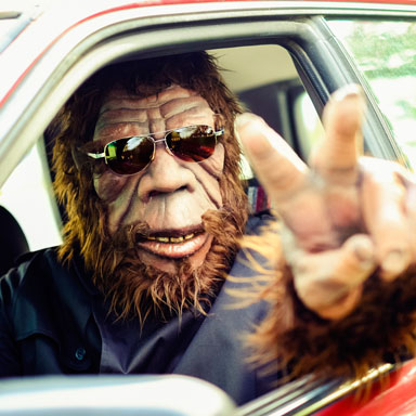 Bigfoot Content Brand Development and Website