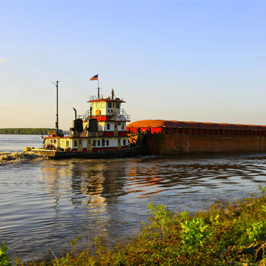Marine Technical Surveyors Website Development